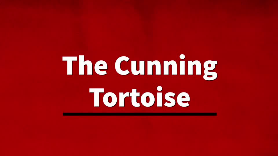 The Cunning Tortoise