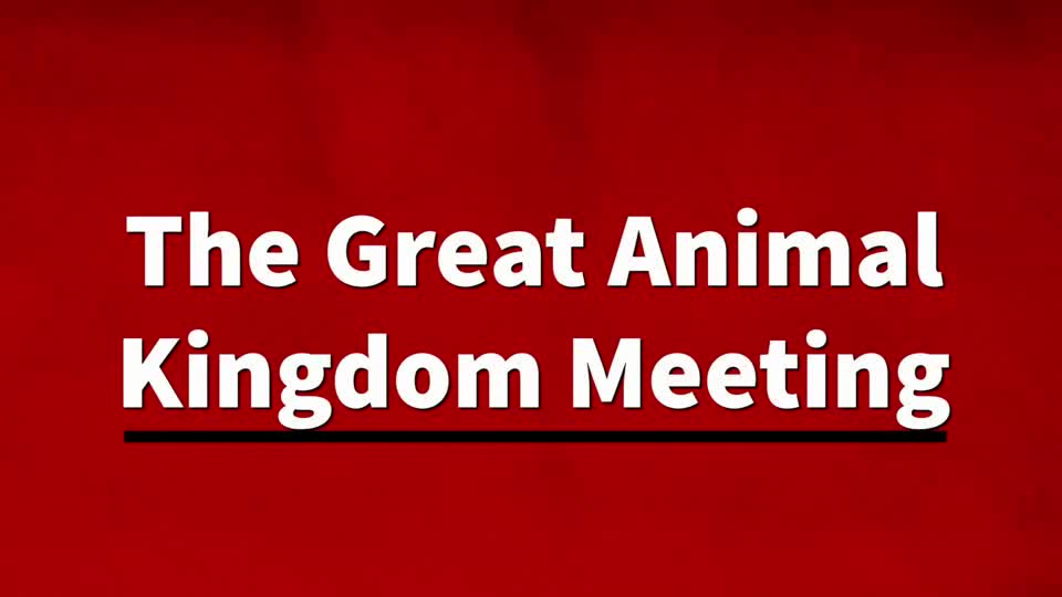 The Great Animal Kingdom Meeting