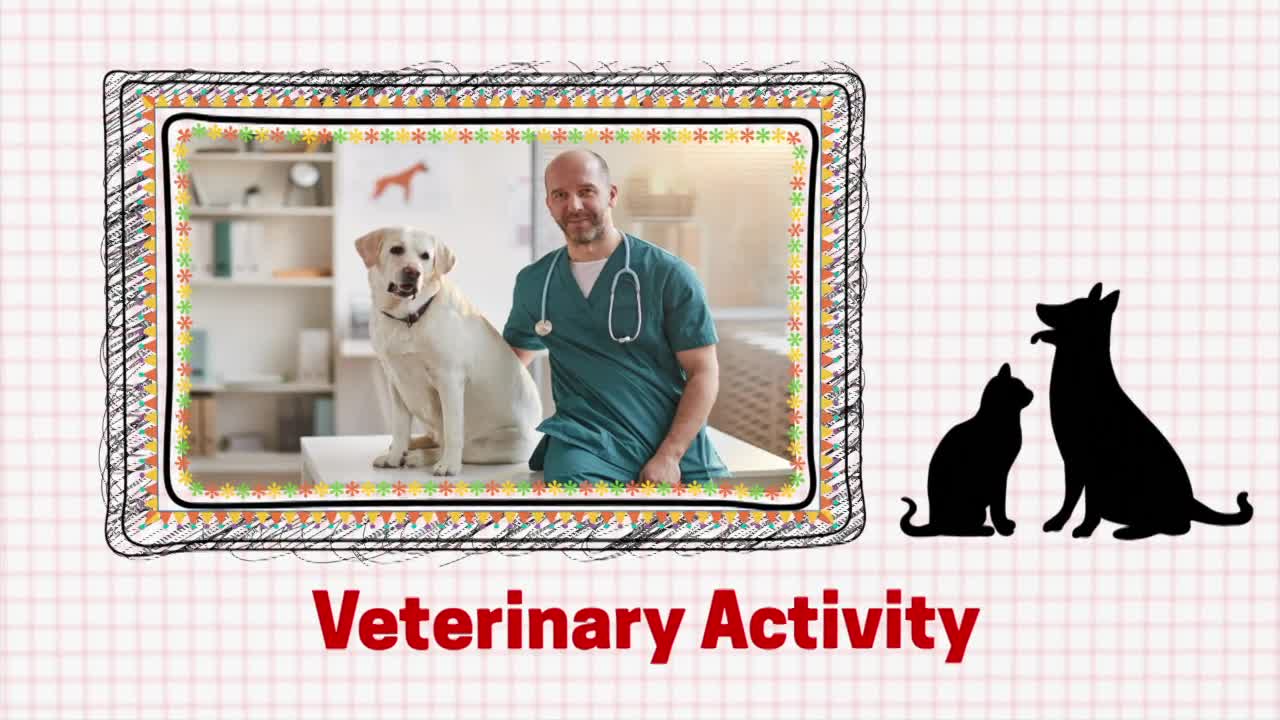 Veterinarian - Hands-on Activity