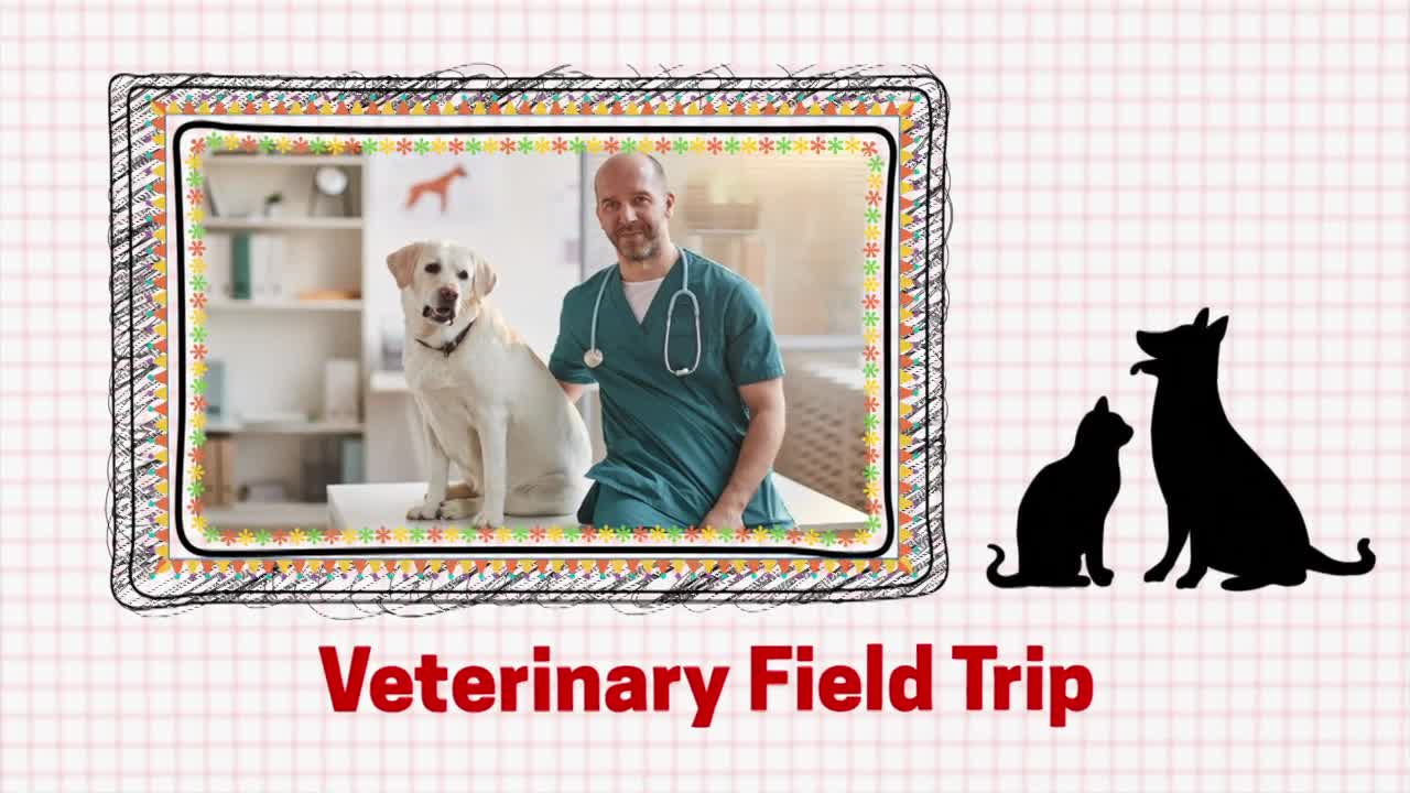 Veterinarian - Virtual Field Trip