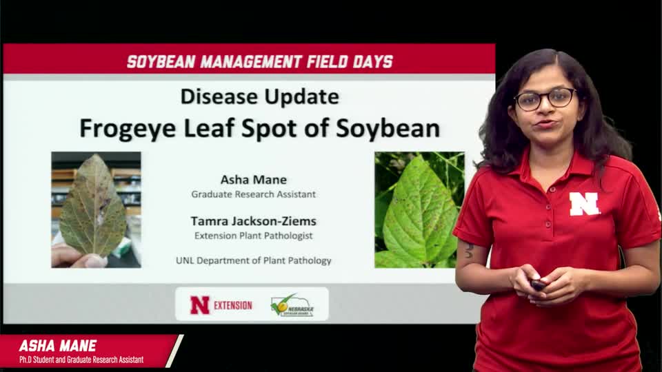 16 - 2021 Soybean Management Field Days - Frogeye Leaf Spot Update  with with Asha Mane, University of Nebraska Graduate Student