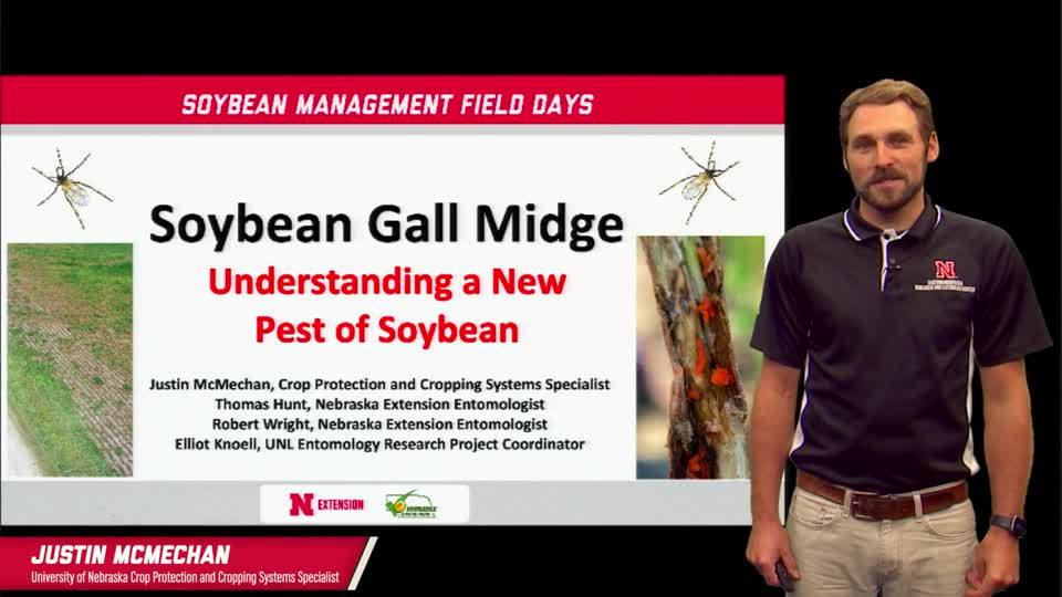 13 - 2021 Soybean Management Field Days - Soybean Gall Midge: Understanding a New Pest of Soybean