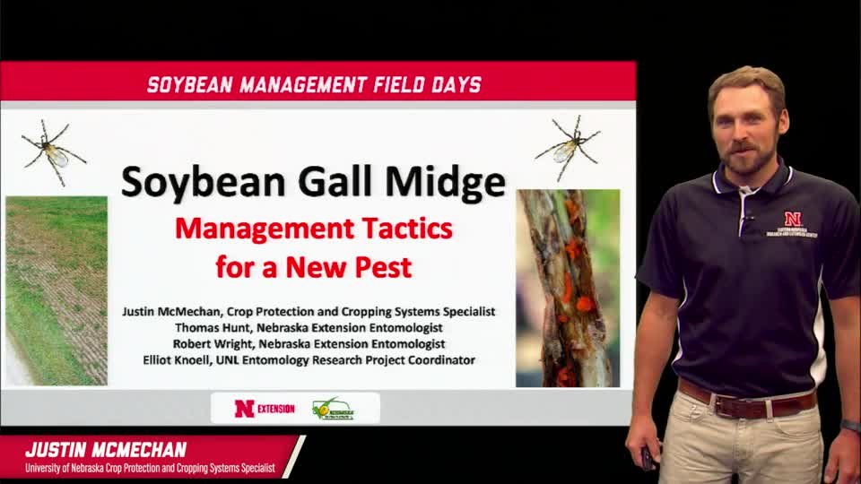 14 - 2021 Soybean Management Field Days - Soybean Gall Midge: Management Tactics For a New Pest 