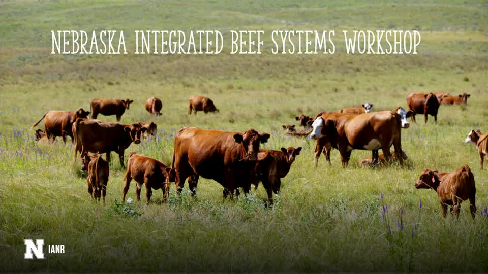 01 Overview of Nebraska Integrated Beef Systems Hub