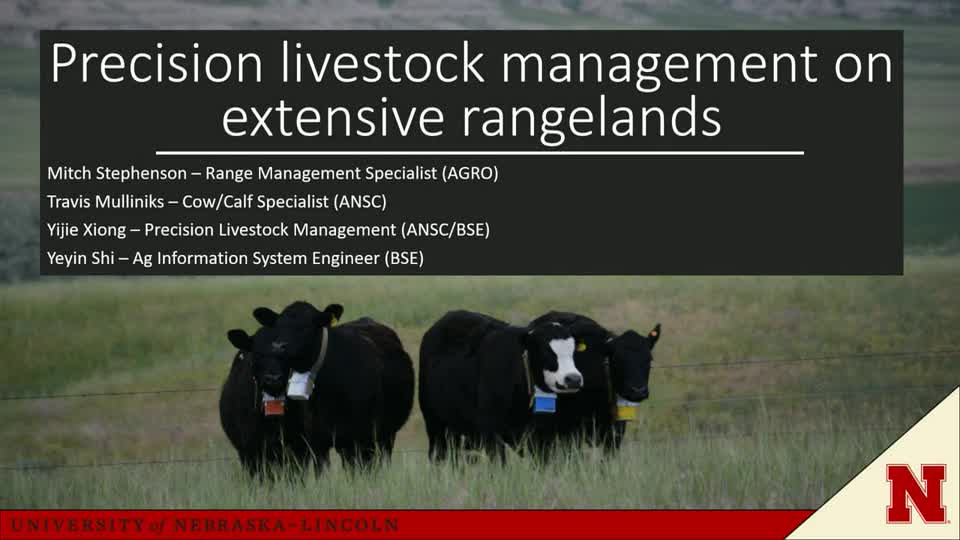11 Precision livestock management on extensive rangeland systems