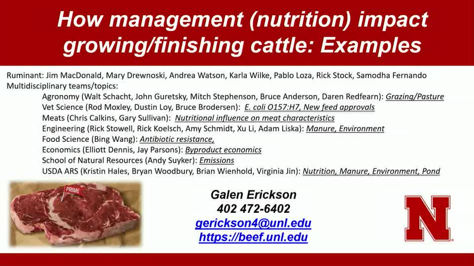 13 How management (nutrition) impact growing/finishing cattle: Examples of research-driven improvements