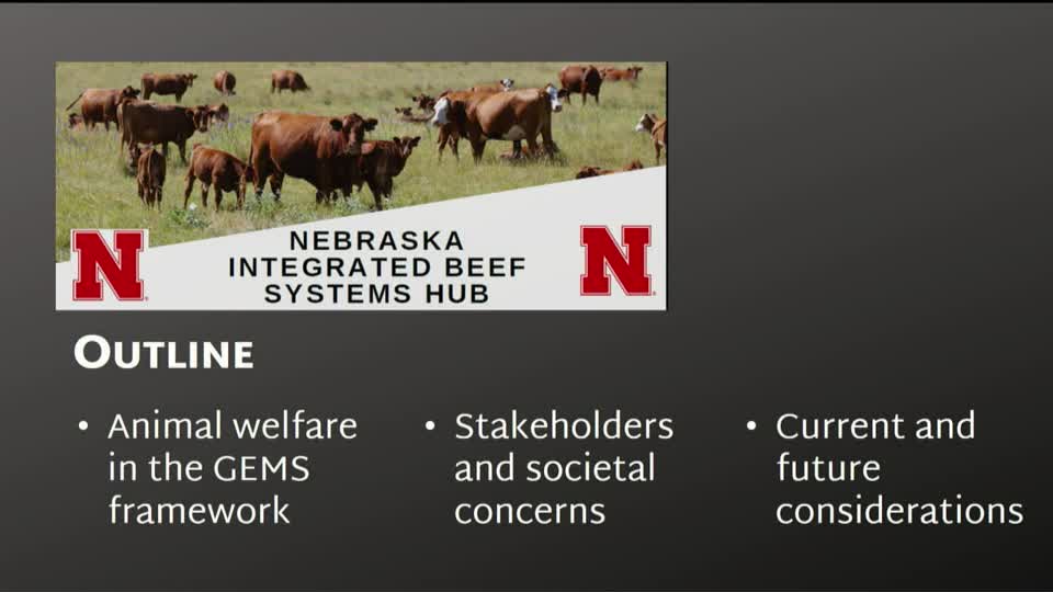 19 Animal welfare: opportunities, challenges, and societal concerns in the UNL framework and beyond