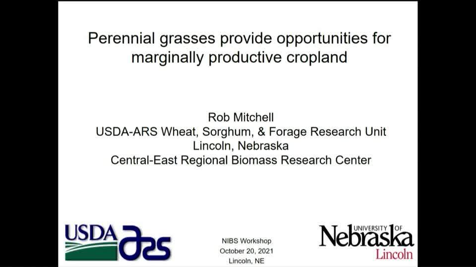Rob Mitchell: Perennial grasses provide opportunities for marginally productive cropland
