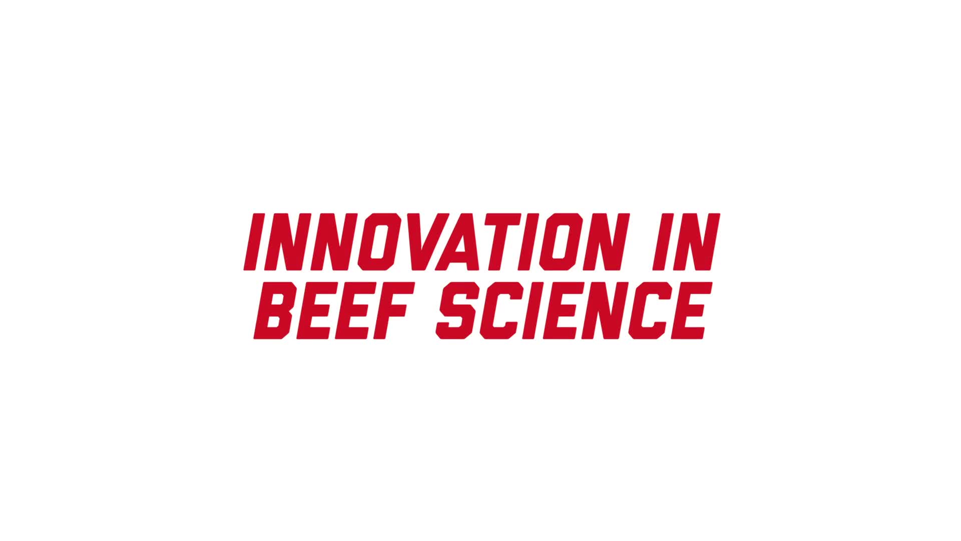 Beef innovation at UNL