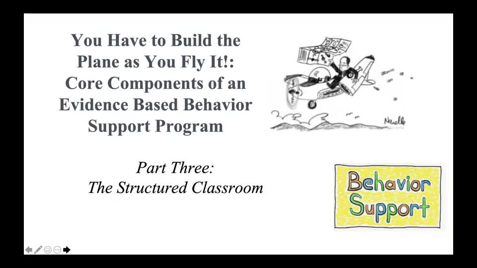 You Have to Build the Plane as You Fly It!: Core Components of an Evidence Based Behavior Support Program Part 3