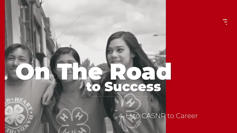 On the Road to Success