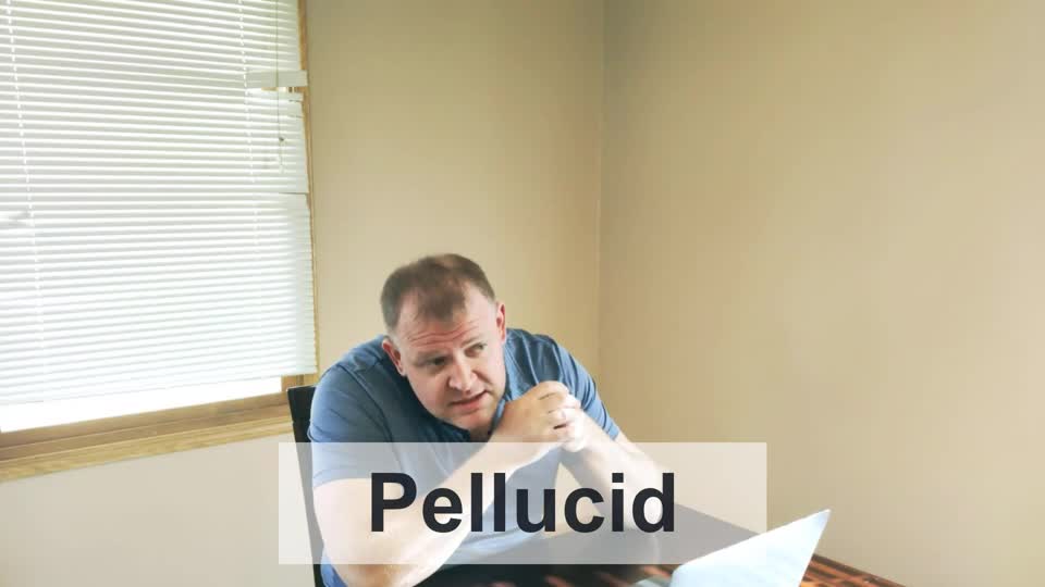 Pellucid (live action)