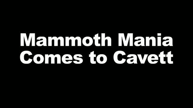 Mammoth Mania: Cavett Elementary