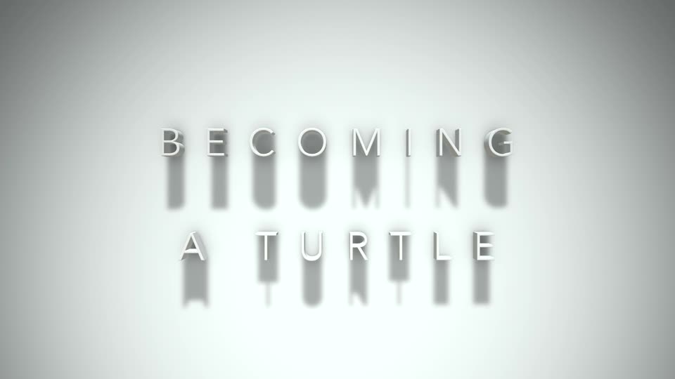 The Way to the Way: Becoming a Turtle