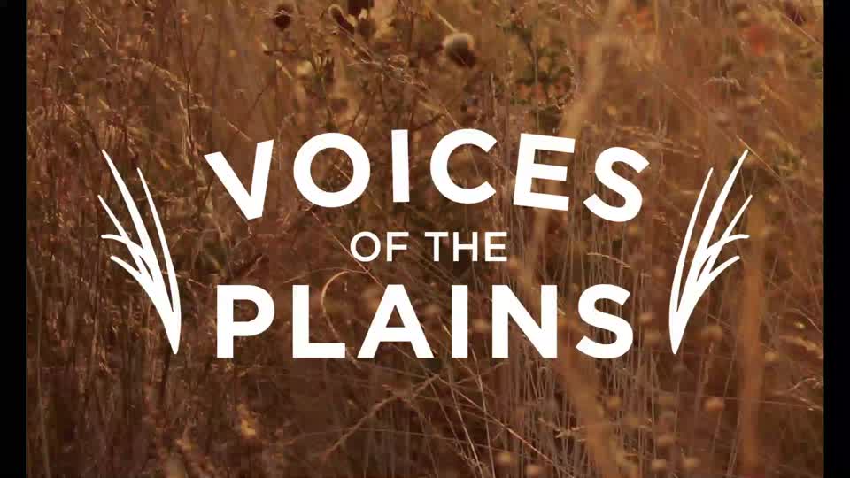 Voices of the Plains: Animal Advocacy