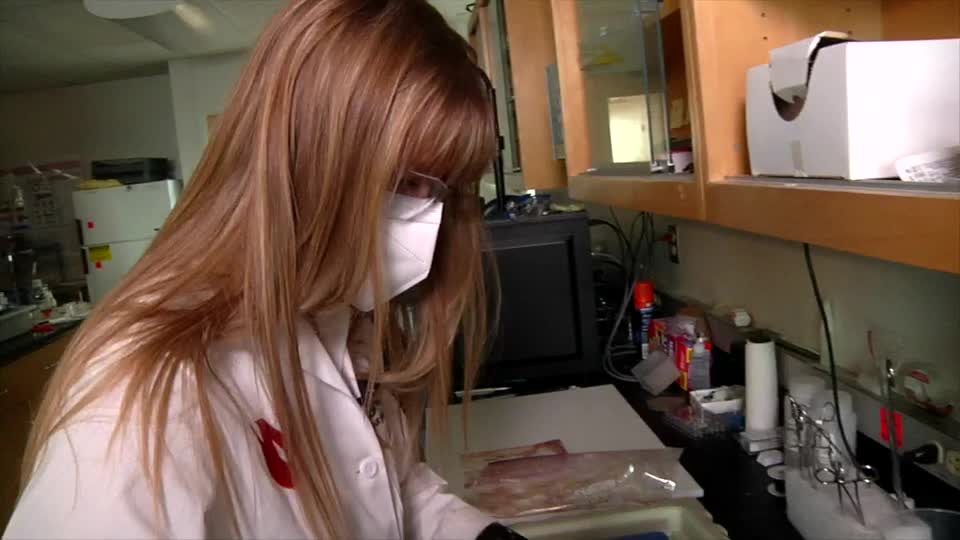 She's a Scientist: Courtney Keiser