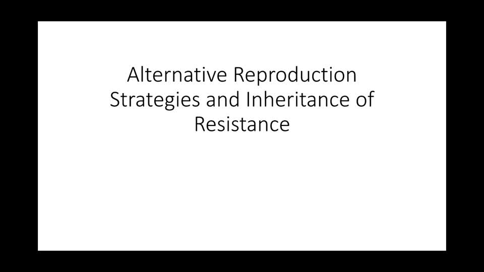 Alternate Methods of Reproduction