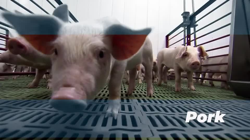 Nebraska 4-H "Aspects of Ag" - Pork (Spanish CC)