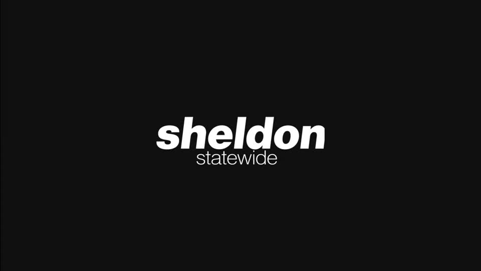 Sheldon Statewide: Introduction