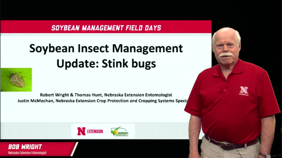 2022 Soybean Management Field Days - Bob Wright - Stink Bug