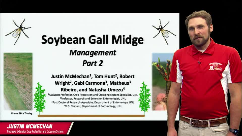 2022 Soybean Management Field Days - Justin McMechan - Soybean Gall Midge - 2