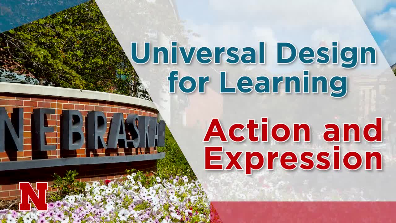 Universal Design for Learning - Action and Expression