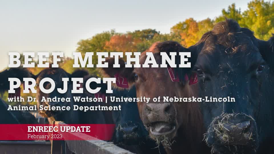 2023 ENREEC Update - Beef Methane Research