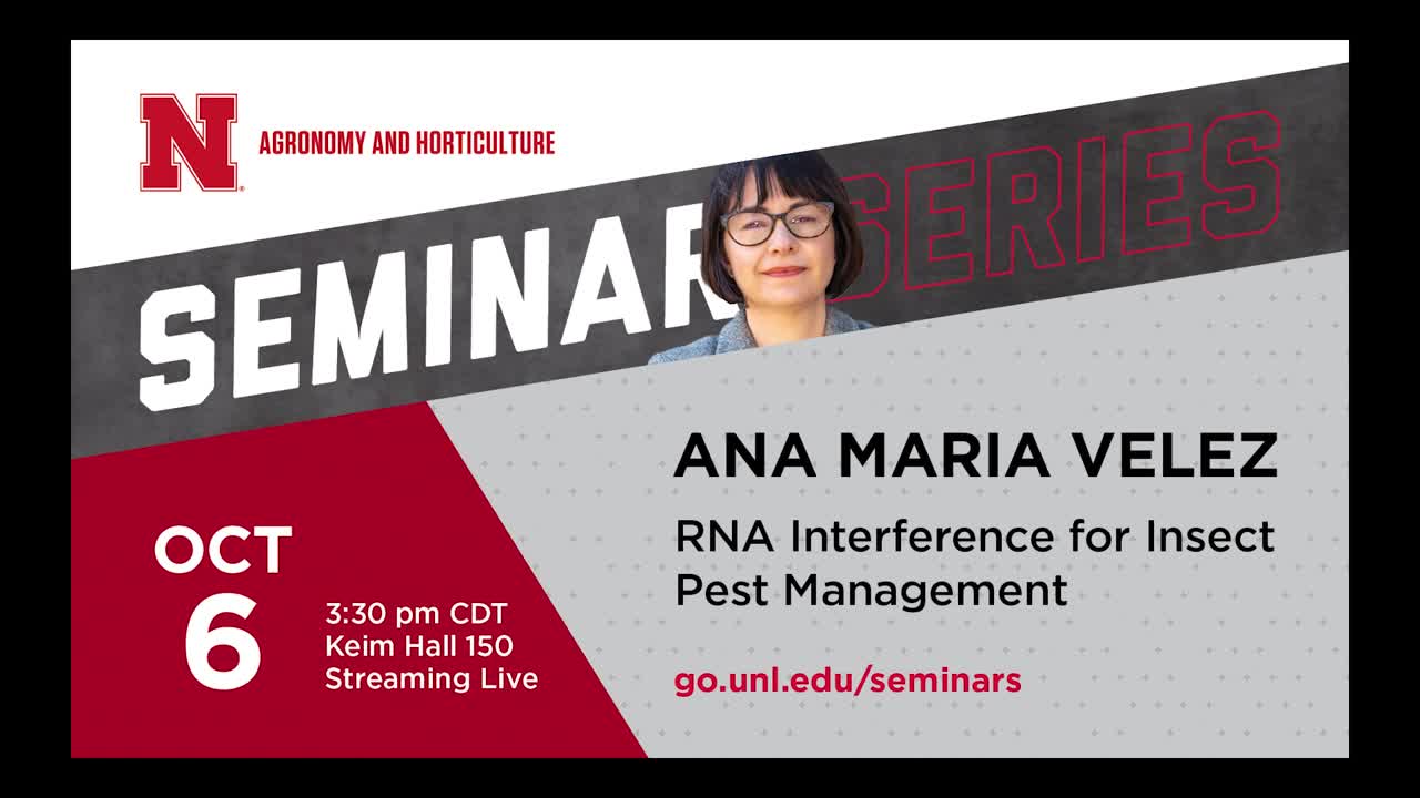 RNA Interference for Insect Pest Management