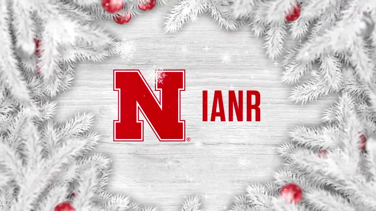 Happy Holidays from IANR