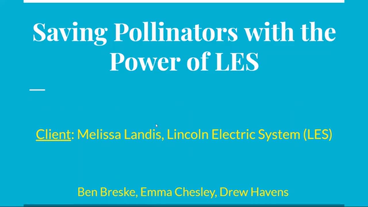 Saving Pollinators with the Power of LES
