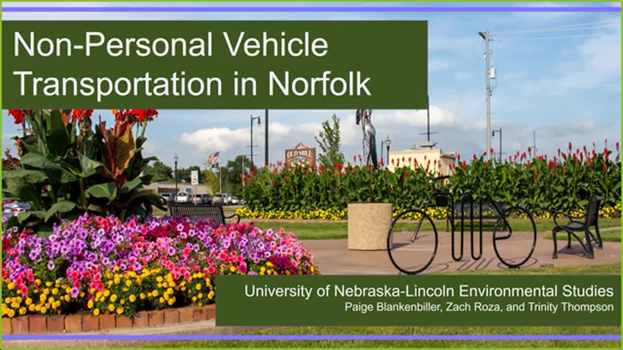 Norfolk Transportation Team