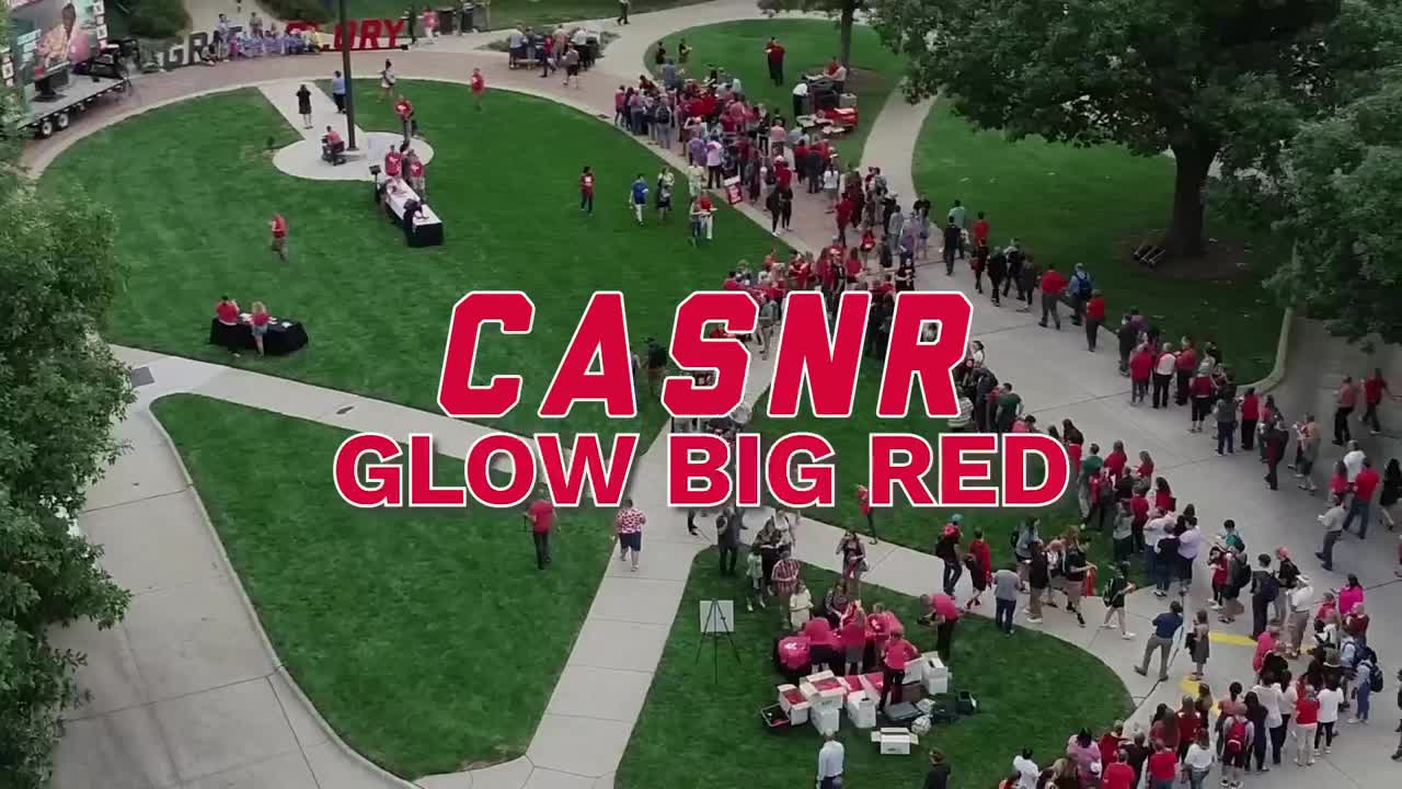 Glow Big Red 2024