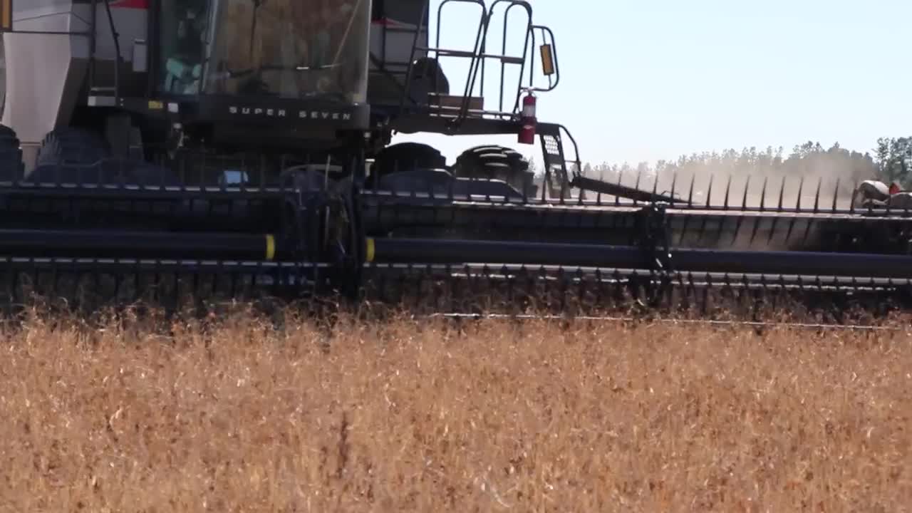 On-Farm Research: direct harvest of dry edible beans