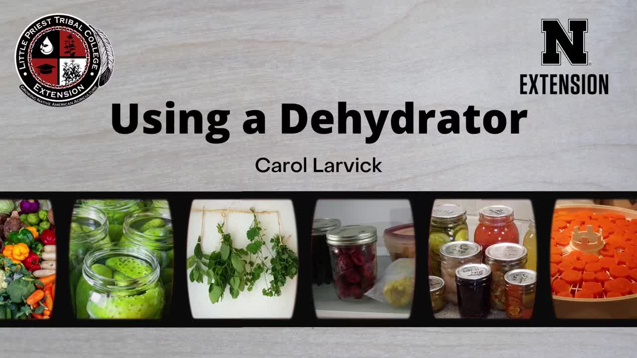 Using a Dehydrator