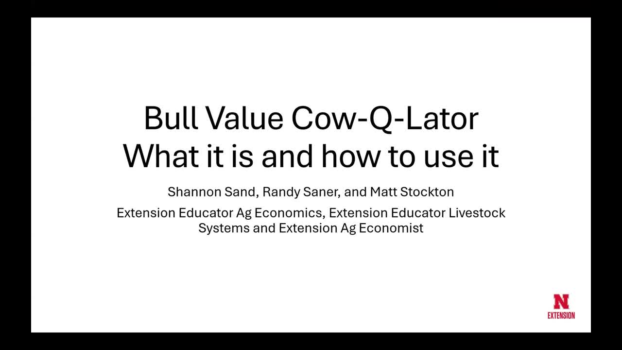 Maximizing Herd Value with the Bull Value Cow-Q-Lator Tool (Feb. 22, 2024 Webinar)