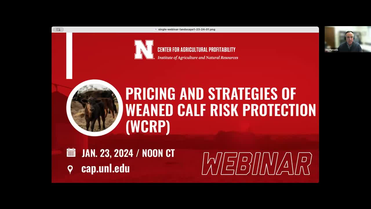 Pricing and Strategies of Weaned Calf Risk Protection (Jan. 23, 2024 Webinar)