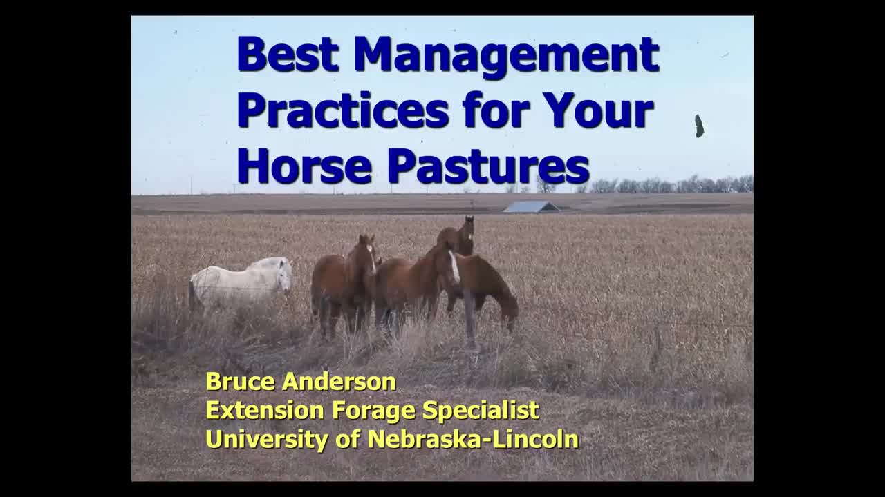 Best Management Practices for Your Horse Pastures