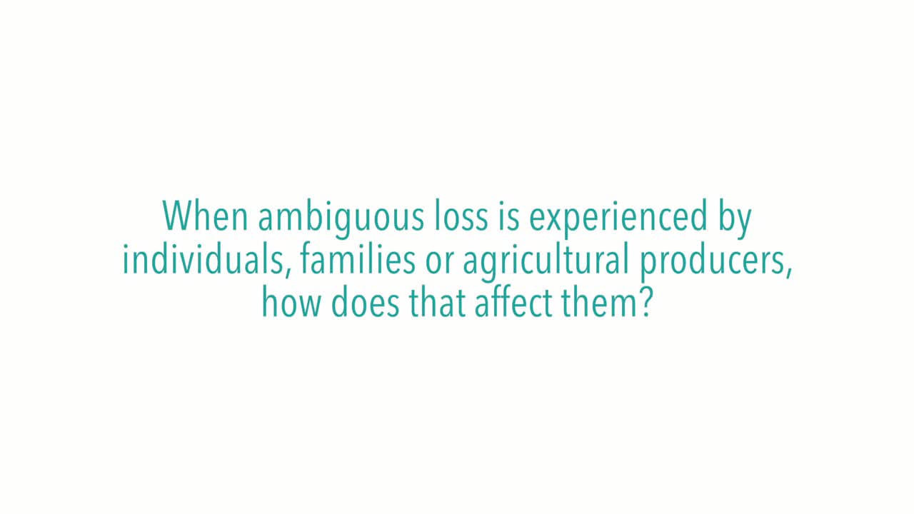 When ambiguous loss is experienced by individuals, families or agricultural producers, how does that affect them?