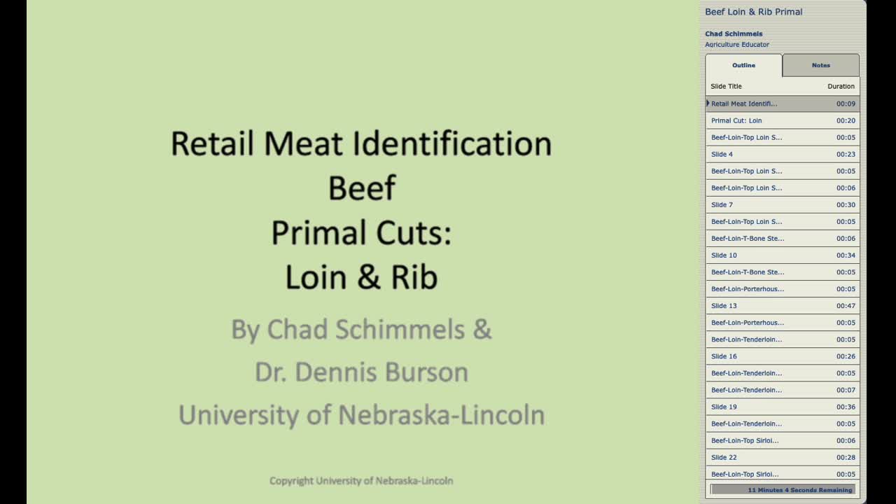 Retail Meat ID Beef Primal Cuts: Loin and Rib