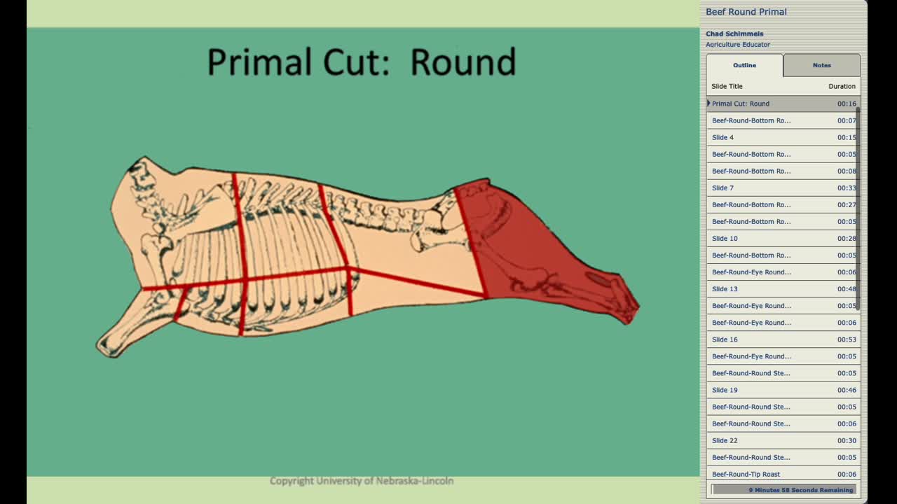 Retail Meat ID Beef Primal Cuts: Round