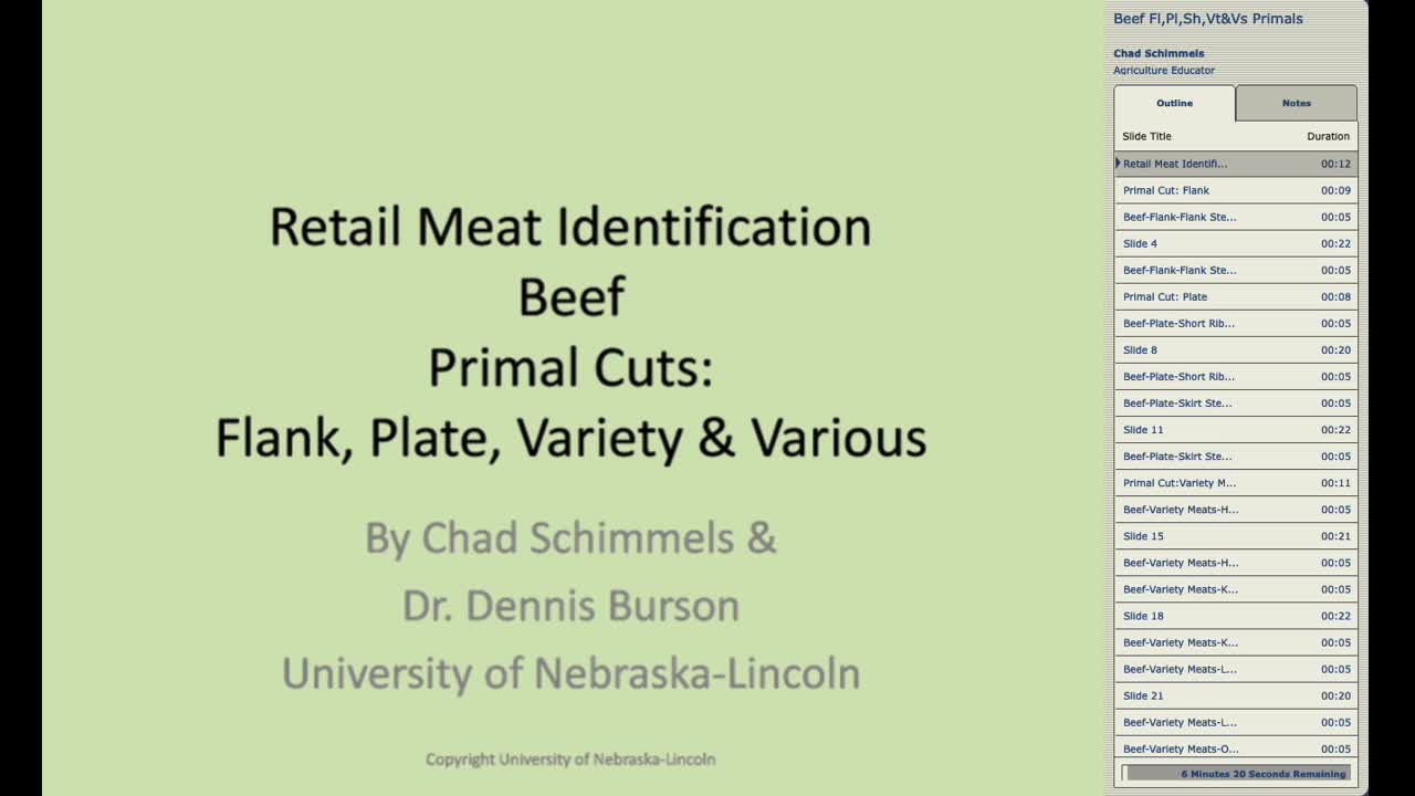 Retail Meat ID Beef Primal Cuts: Flank, Plate, Flank, Variety Meats, and Various Cuts