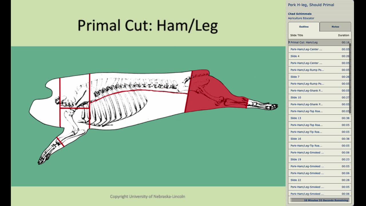 Retail Meat ID Pork Primal Cuts: Ham/Leg and Shoulder