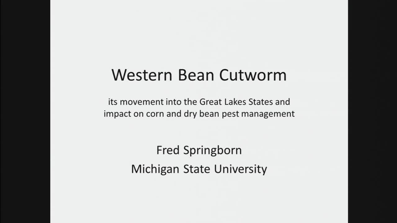 Western bean cutworm, its movement into the Great Lakes States and impact on corn and dry bean pest management