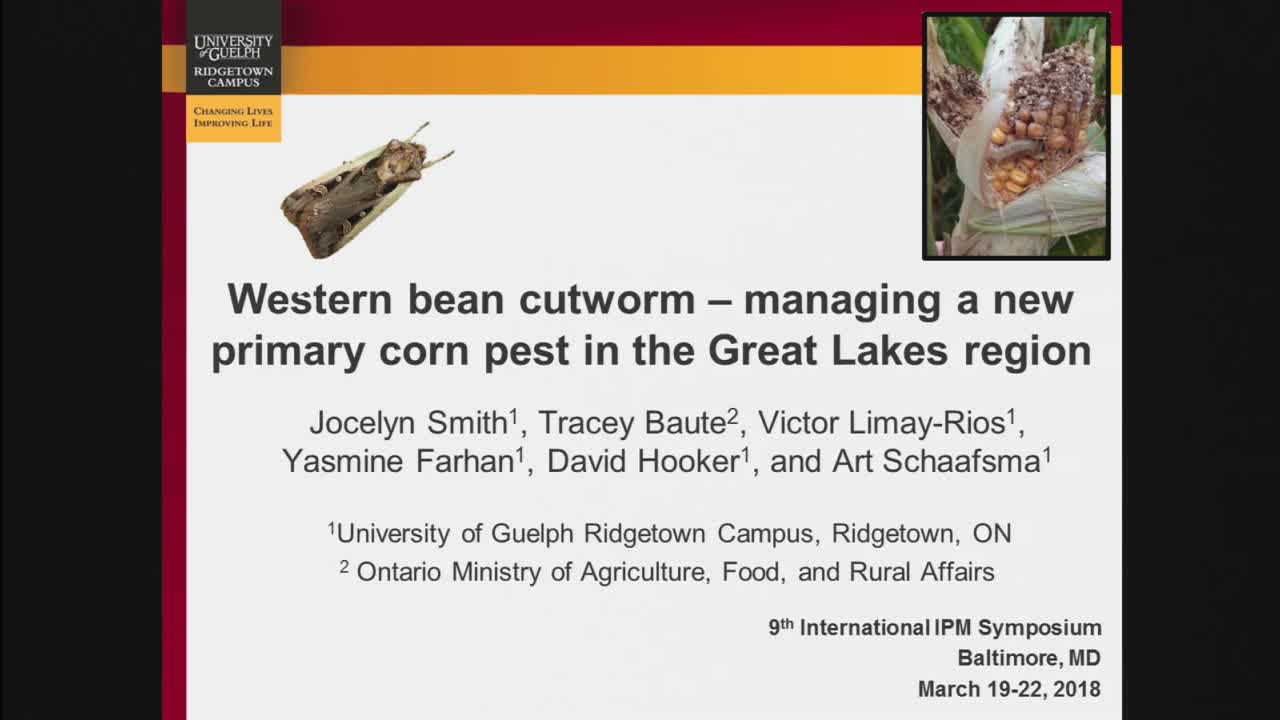 Management of western bean cutworm in Ontario, Canada