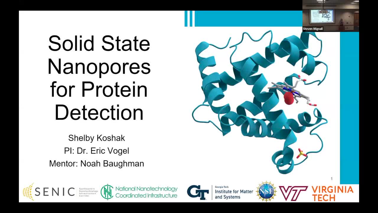 Solid State Nanopores for Protein Detection