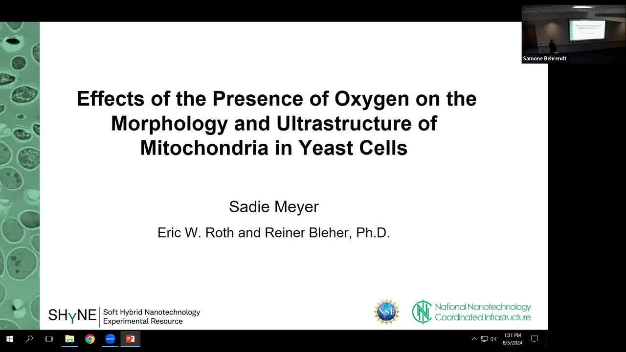 Effects of the Presence of Oxygen on the Morphology and Ultrastructure of Mitochondria in Yeast Cells