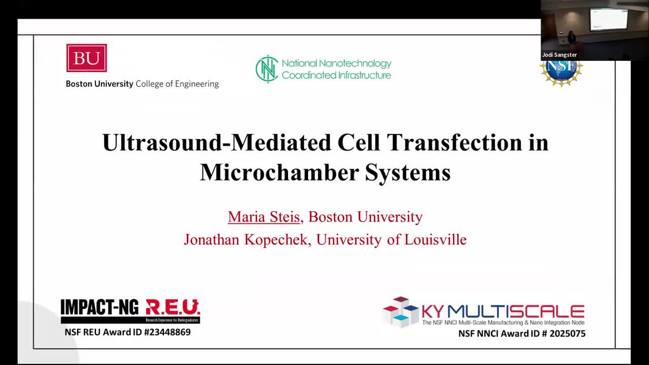 Ultrasound mediated cell transfection in microchamber systems