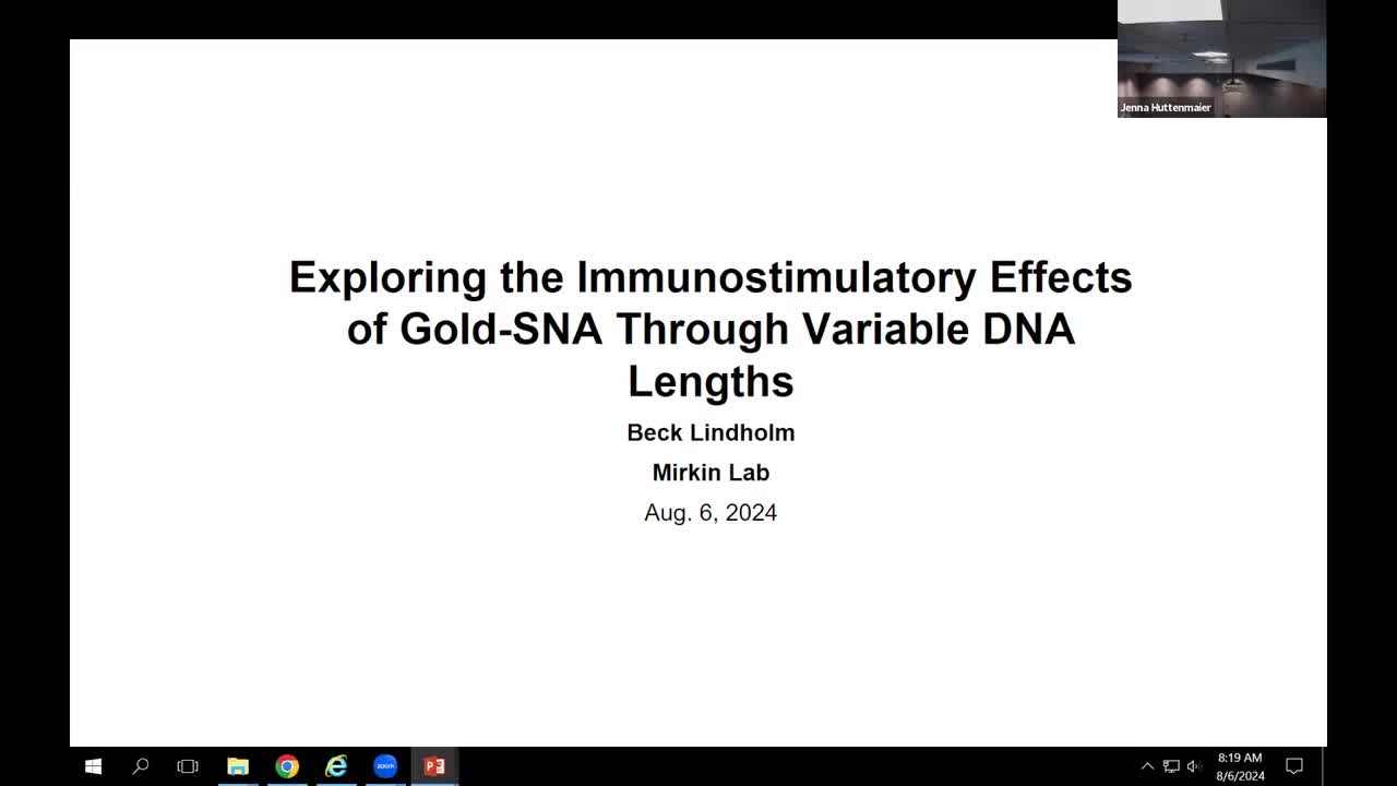 Exploring the Immunostimulatory Effects of Gold-SNA Through Variable DNA Lengths