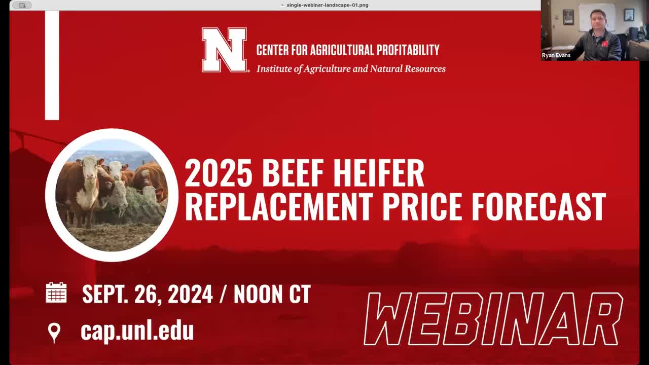 2025 Beef Heifer Replacement Price Forecast (Sept. 26, 2024 Webinar)