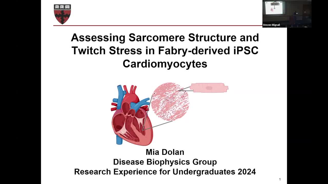 Assessing Sarcomere Structure and Twitch Stress in Fabry-derived iPSC Cardiomyocytes